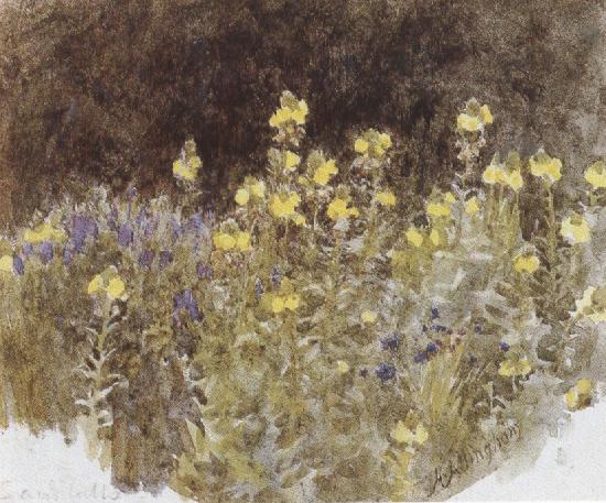 Helen Allingham,R.W.S Studies of Flowers (mk37) oil painting image